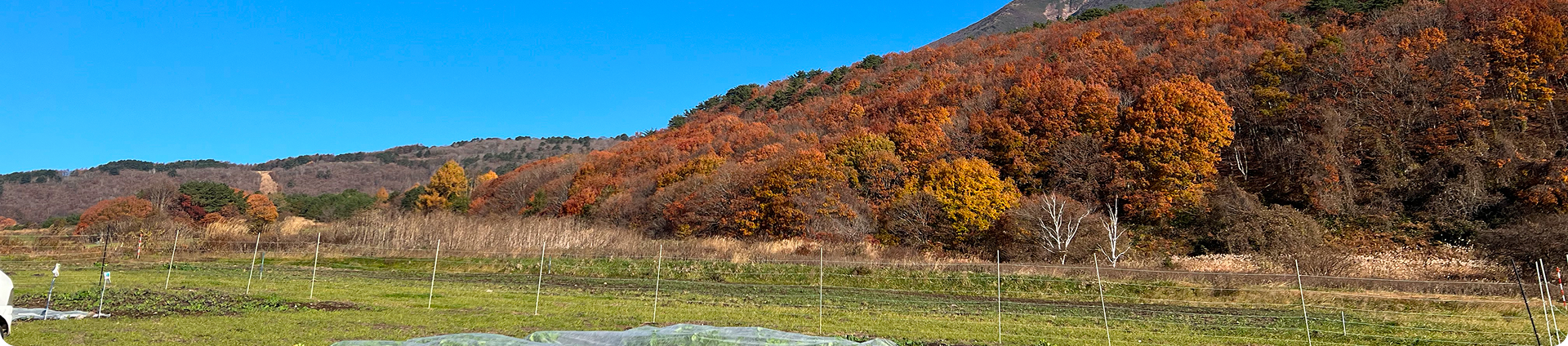 会津猪苗代観光ファーム お問い合わせ ヘッダー画像