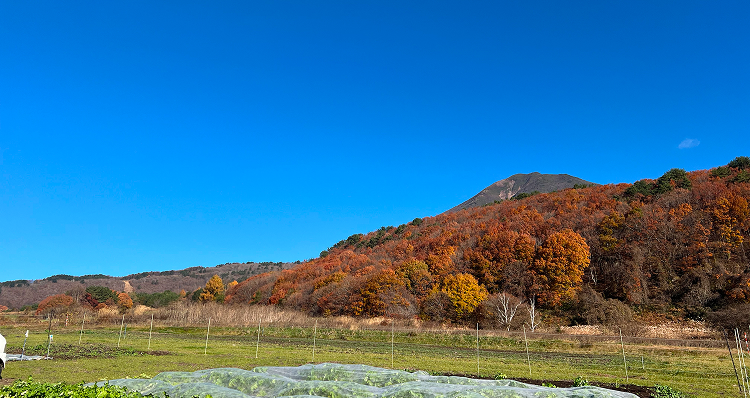 会津猪苗代観光ファーム 農業体験 ヘッダー画像