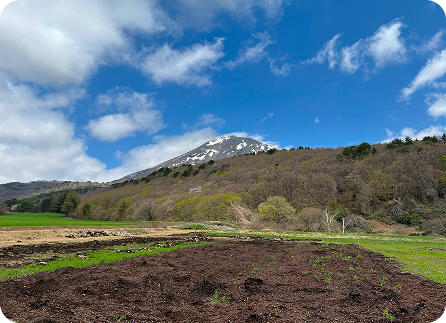 季節ごとにできる体験 5月～6月の風景