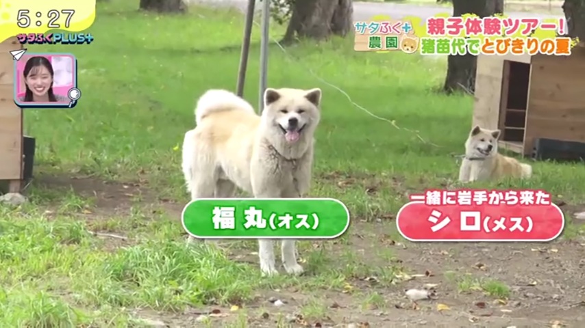 福島テレビ『サタふくプラス』にて、当社が管理している農場での「サタふく+農園」企画が放送されました。