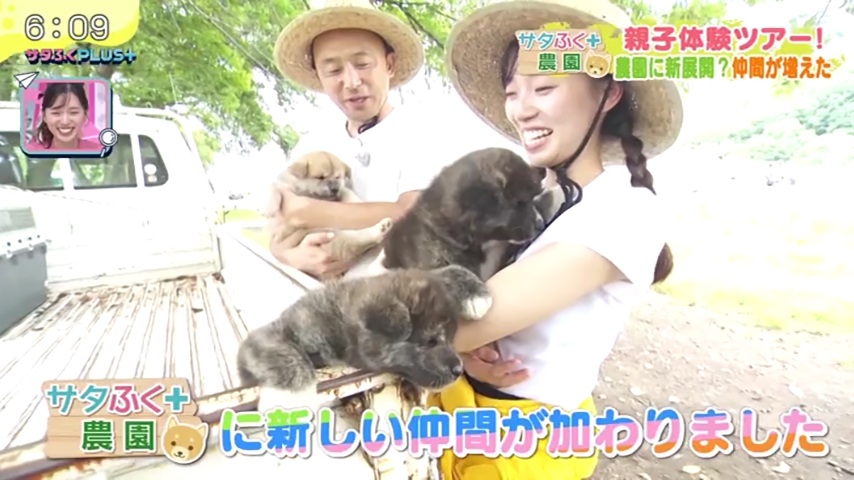 福島テレビ『サタふくプラス』にて、当社が管理している農場での「サタふく+農園」企画が放送されました。