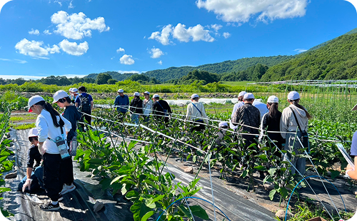 生徒たちの農業体験の様子